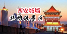 偷拍夜总会女人尿尿中国陕西-西安城墙旅游风景区